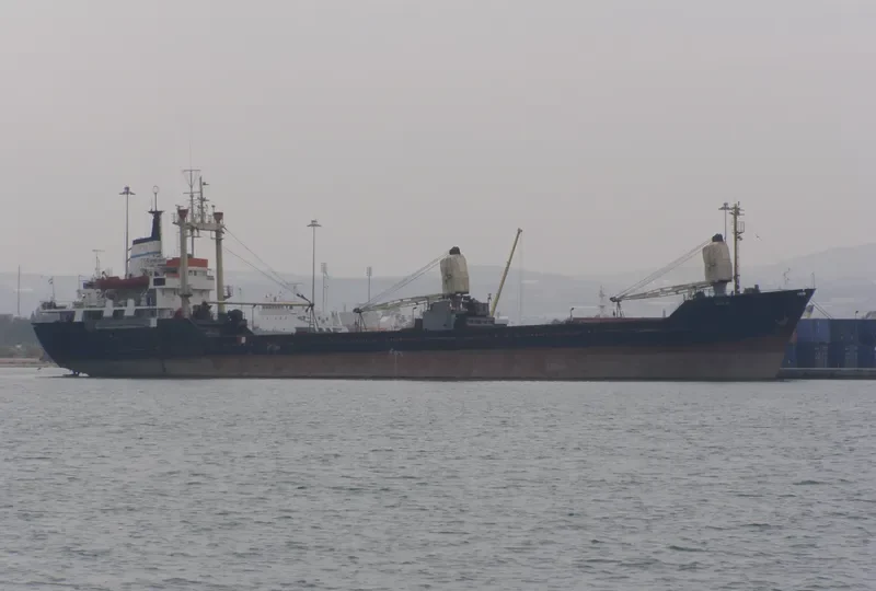 TIGER General Cargo IMO 7725972 photo 2