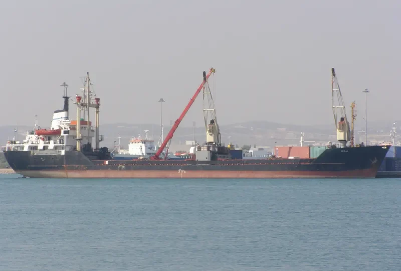 TIGER General Cargo IMO 7725972 photo 3