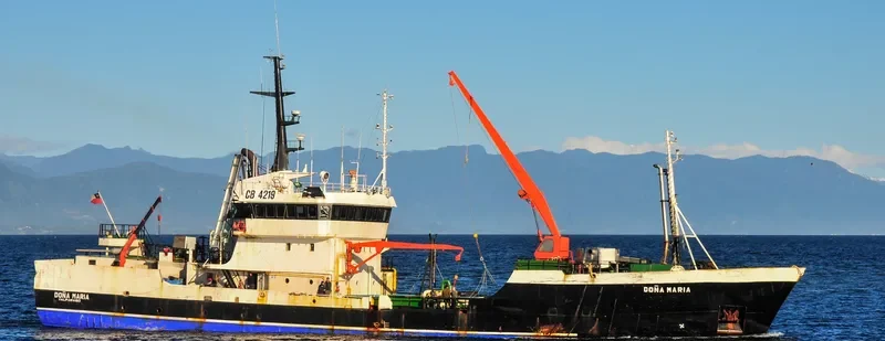 DONA MARIA General Cargo IMO 7726689