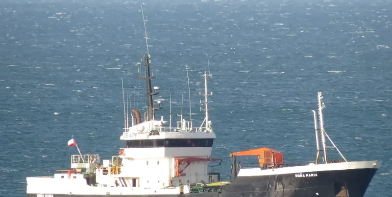 DONA MARIA General Cargo IMO 7726689 photo 5