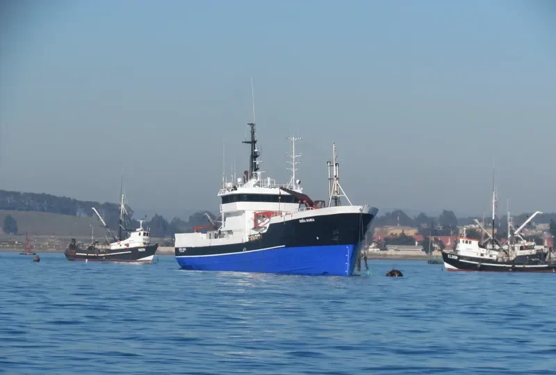 DONA MARIA General Cargo IMO 7726689 photo 9