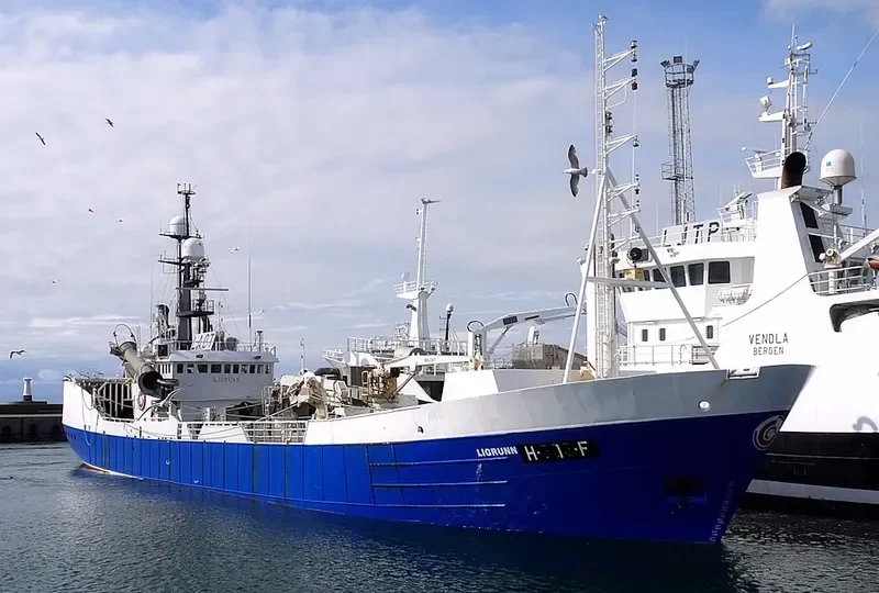 MAYOR General Cargo IMO 7726691 photo 2