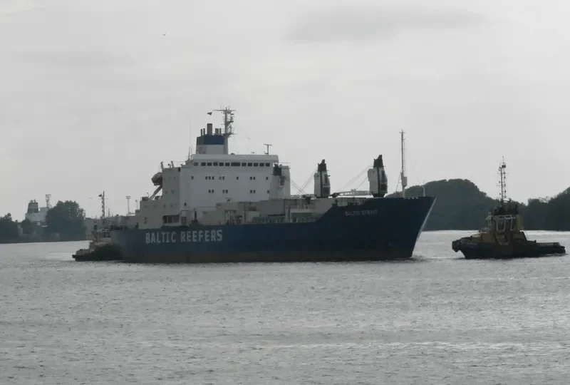 WEI LI General Cargo IMO 7726706 photo 8
