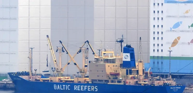 BALTIC STREAM General Cargo IMO 7726718 photo 2