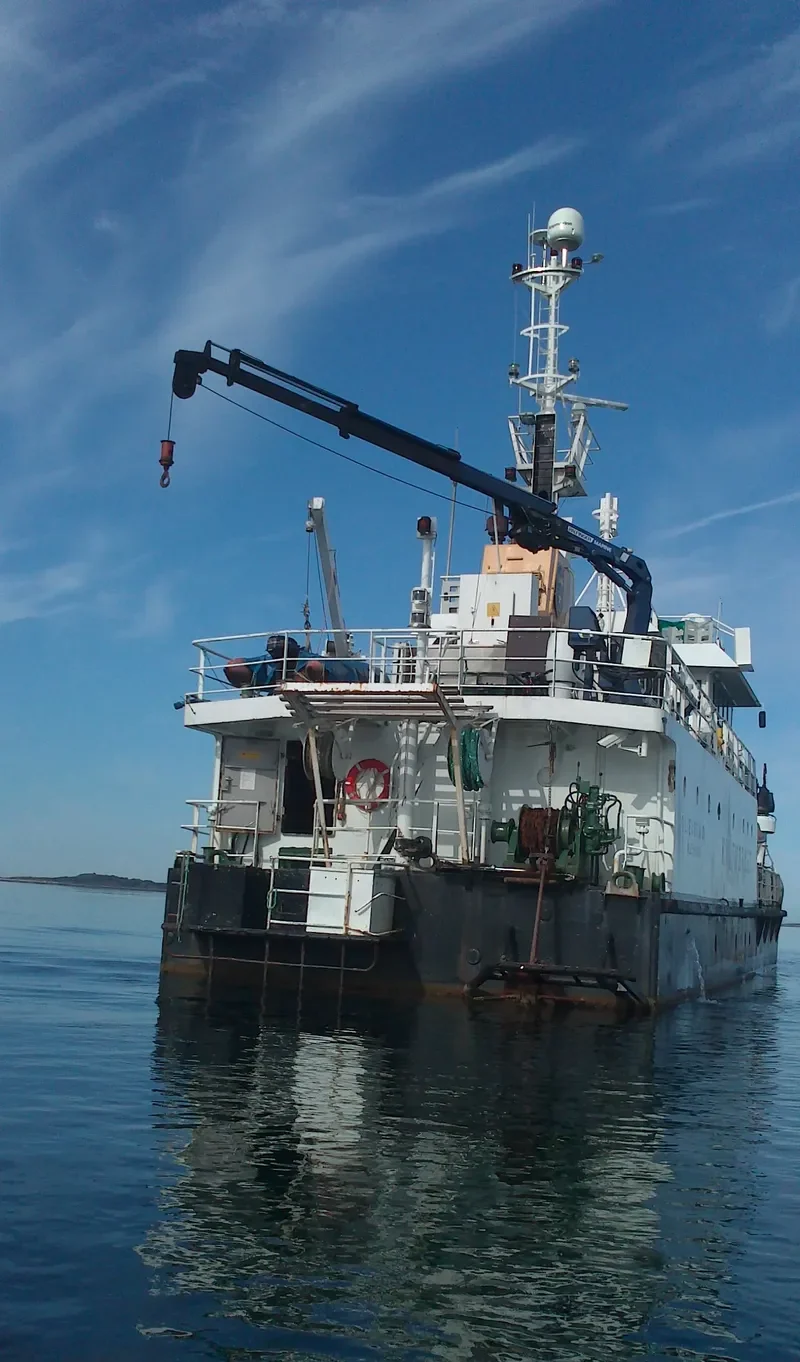 VOLT COLLECTOR II General Cargo IMO 7728493 photo 7