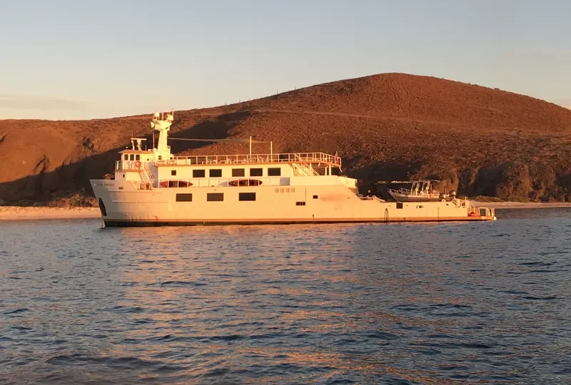 PACIFIC PROVIDER General Cargo IMO 7728637 photo 6