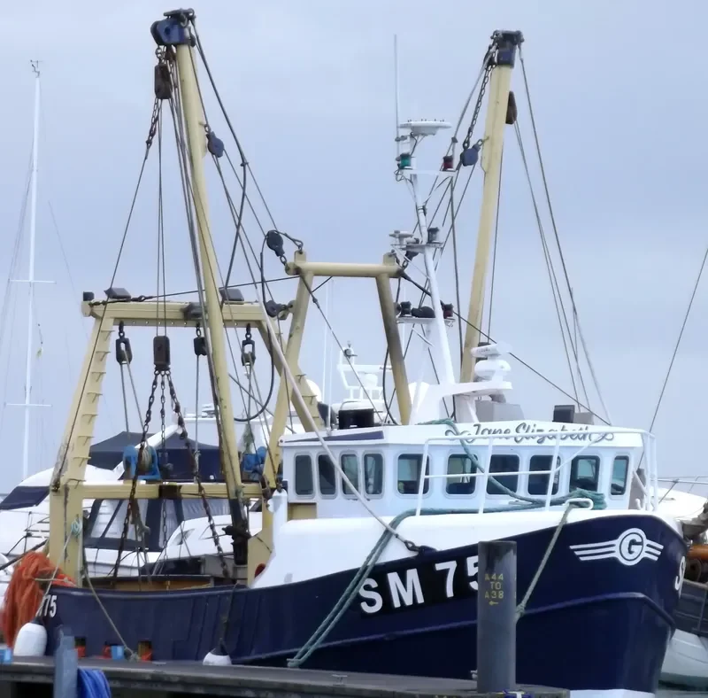 JANE ELIZABETH General Cargo IMO 7728651 photo 5