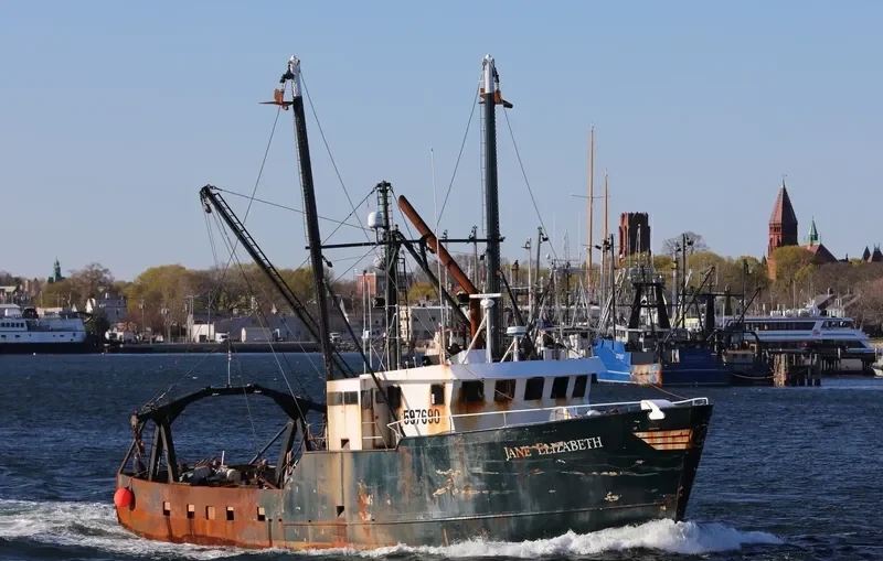 JANE ELIZABETH General Cargo IMO 7728651 photo 7