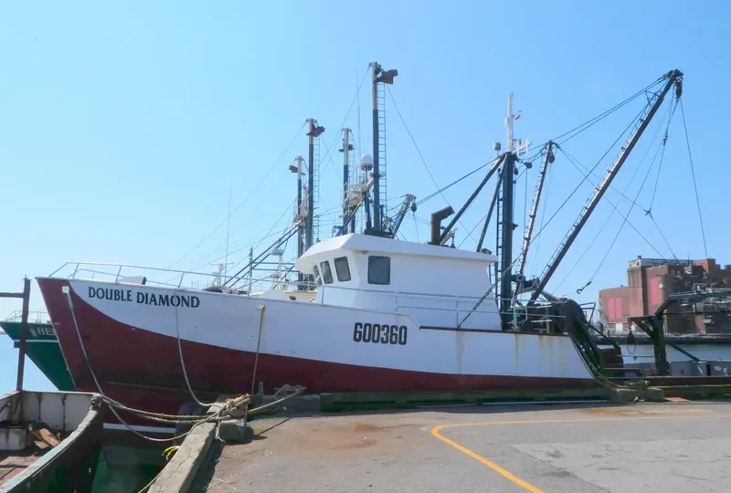 PATRIOTS General Cargo IMO 7728663 photo 2