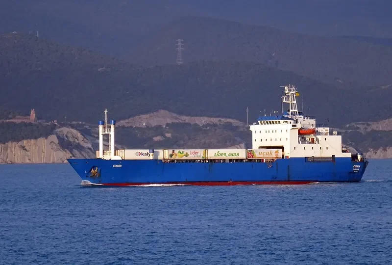 CIRKIN Ro-Ro IMO 7728699 photo 7