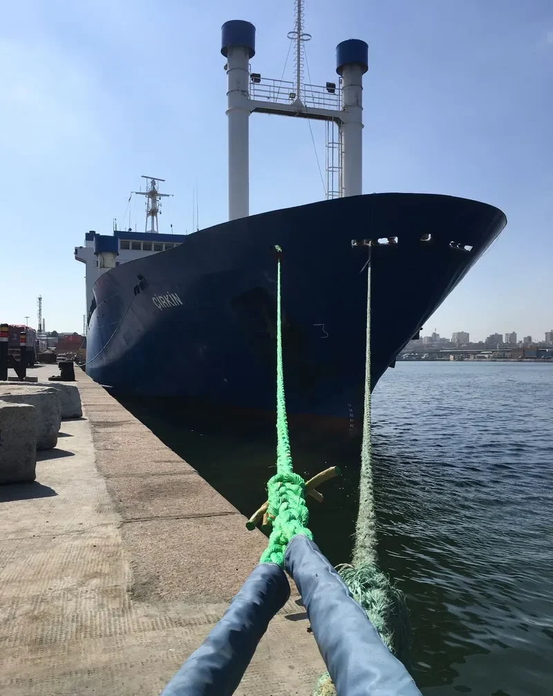 CIRKIN Ro-Ro IMO 7728699 photo 9