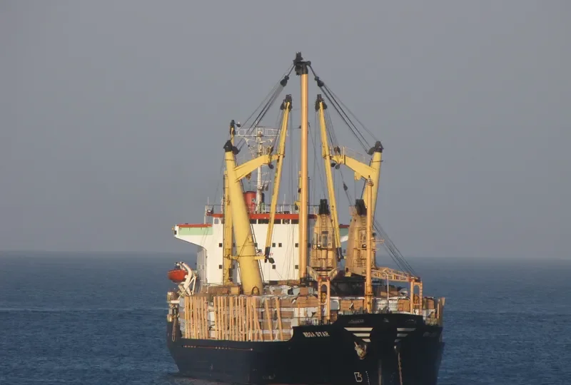 MEGA STAR General Cargo IMO 7729198 photo 9