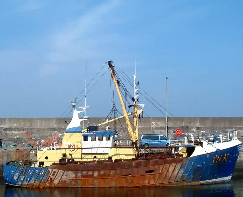 CAMM DEFIANCE General Cargo IMO 7729382 photo 4