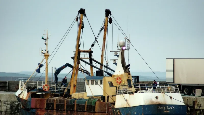 CAMM DEFIANCE General Cargo IMO 7729382 photo 8
