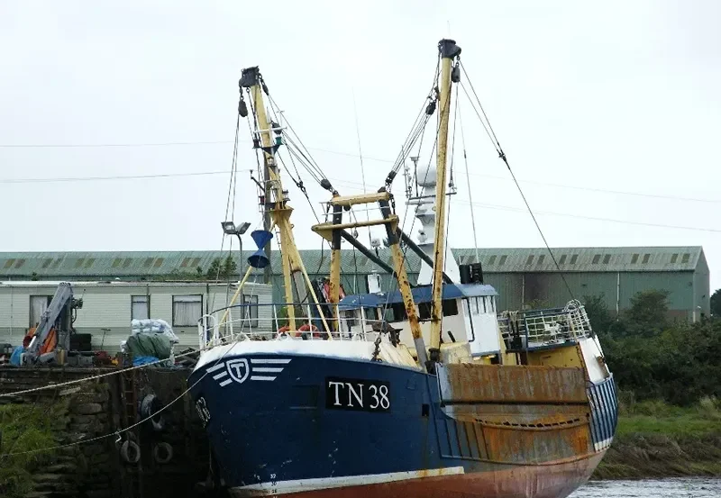 CAMM DEFIANCE General Cargo IMO 7729382 photo 9