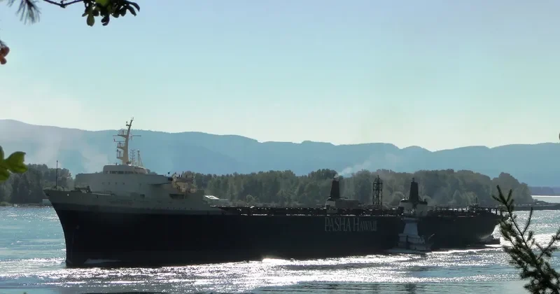 HORIZON SPIRIT Container Ship IMO 7729459 photo 5