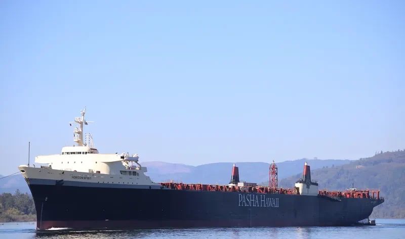 HORIZON SPIRIT Container Ship IMO 7729459 photo 6