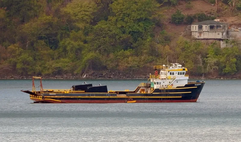 TRADEWIND Offshore Vessel IMO 7729497 photo 3