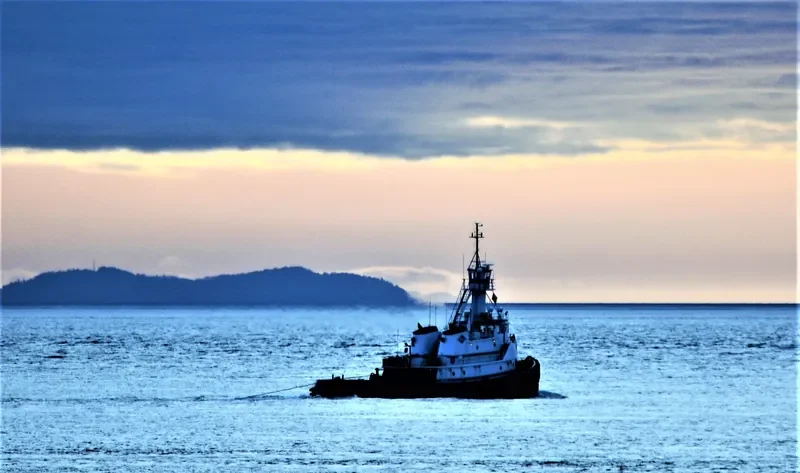SEA HAWK General Cargo IMO 7729526 photo 4