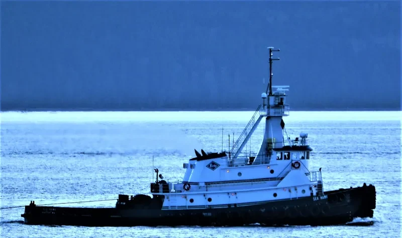 SEA HAWK General Cargo IMO 7729526 photo 5