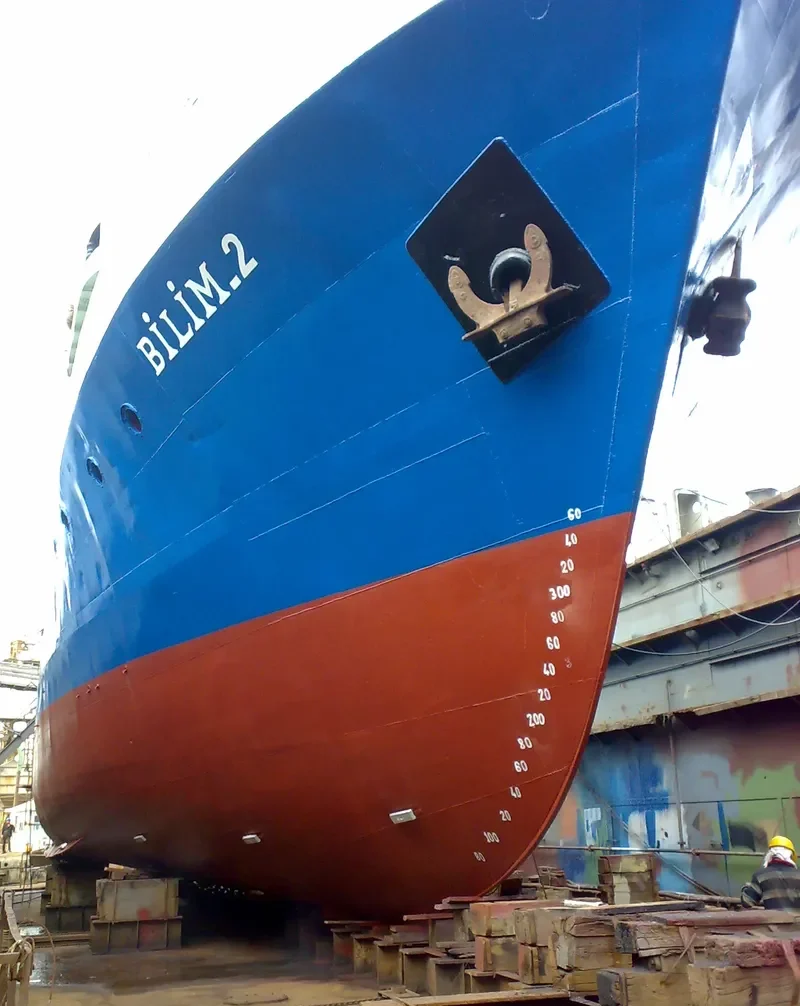 BILIM 2 General Cargo IMO 7729667 photo 6