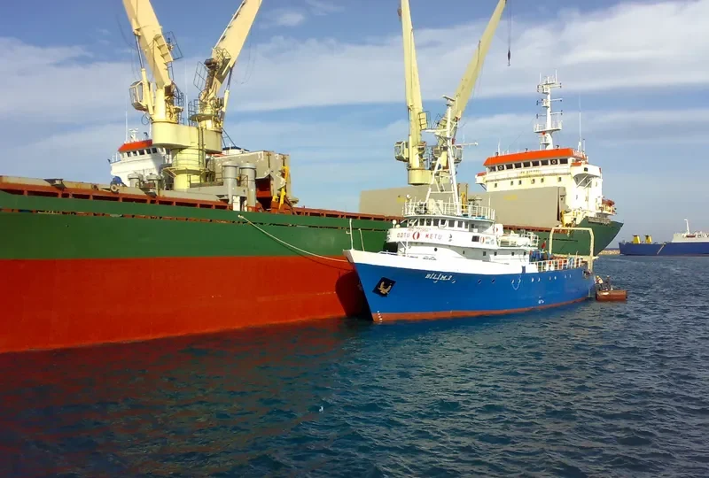 BILIM 2 General Cargo IMO 7729667 photo 9