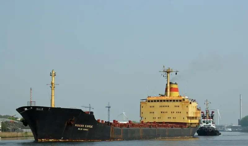 MILIN KAMAK Bulk Carrier IMO 7729734 photo 6