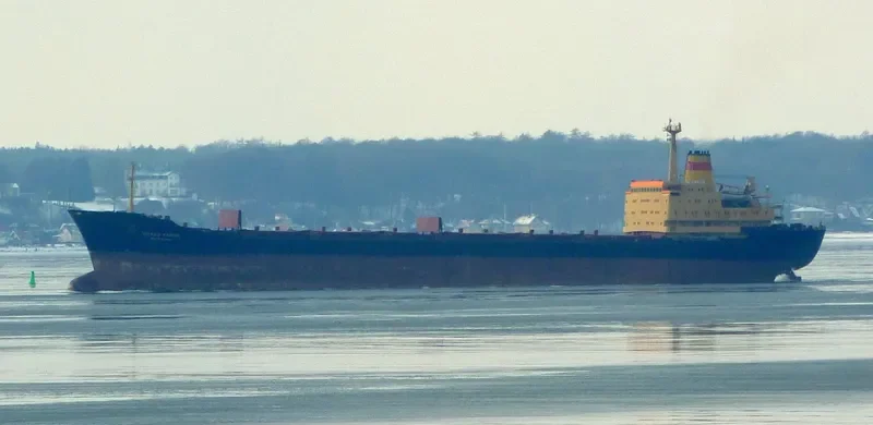 MILIN KAMAK Bulk Carrier IMO 7729734 photo 9