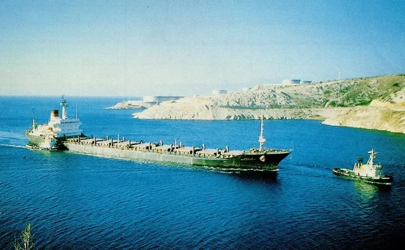 MEMED ABASHIDZE Bulk Carrier IMO 7730020