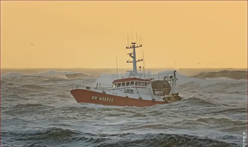PLUTON General Cargo IMO 7730068