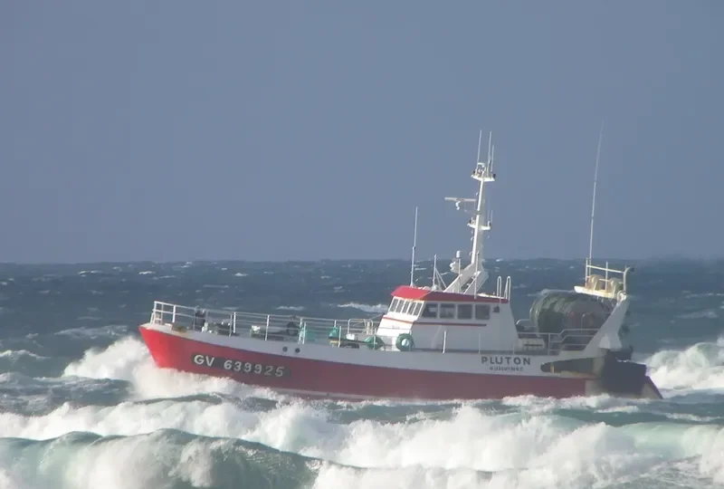 PLUTON General Cargo IMO 7730068 photo 6