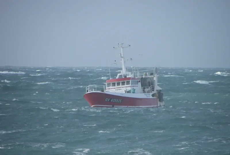 PLUTON General Cargo IMO 7730068 photo 7