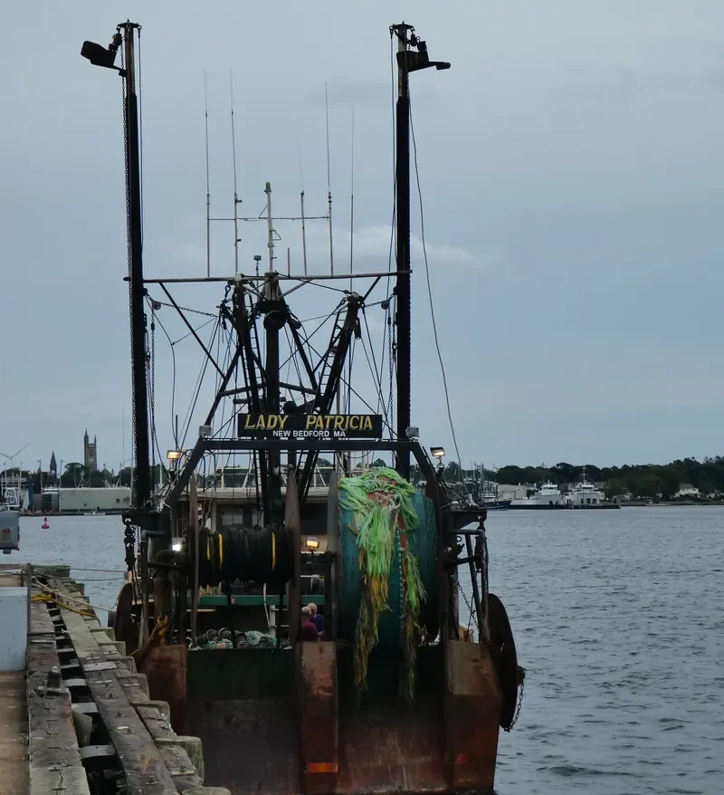 LADY PATRICIA General Cargo IMO 7730288 photo 2
