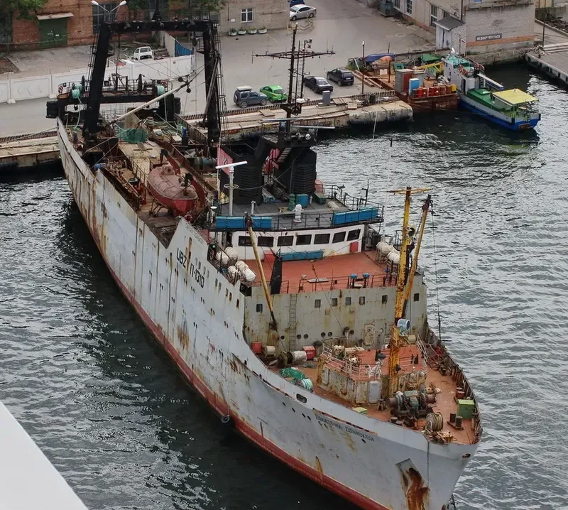 DMITRIY DONSKOY General Cargo IMO 7731933