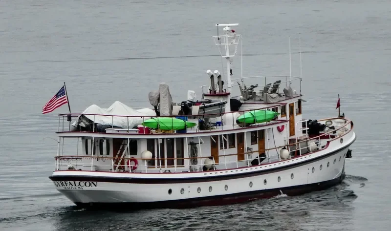 GYRFALCON General Cargo IMO 7732406 photo 3