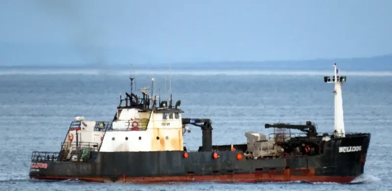 BULLDOG Fishing Vessel IMO 7732468