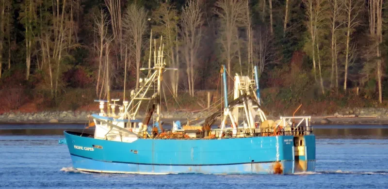 PACIFIC CAPES General Cargo IMO 7732573 photo 2