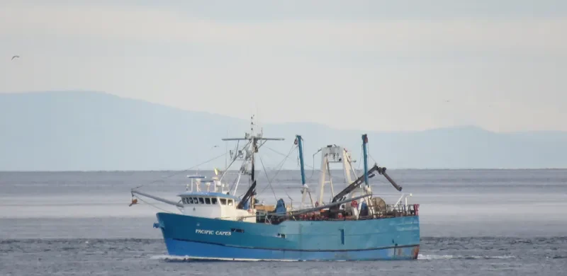 PACIFIC CAPES General Cargo IMO 7732573 photo 4