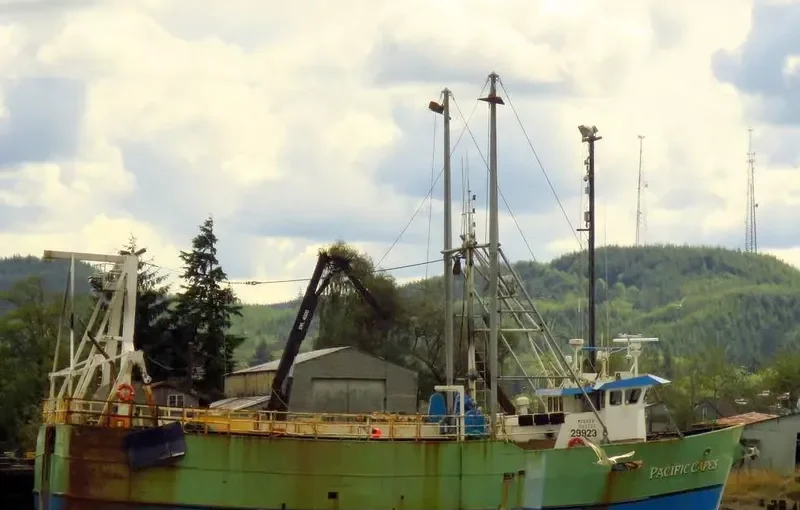 PACIFIC CAPES General Cargo IMO 7732573 photo 5