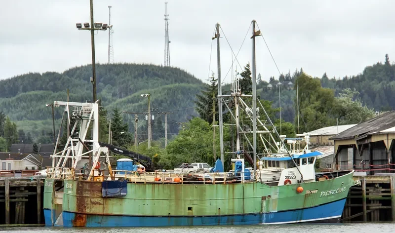 PACIFIC CAPES General Cargo IMO 7732573 photo 6