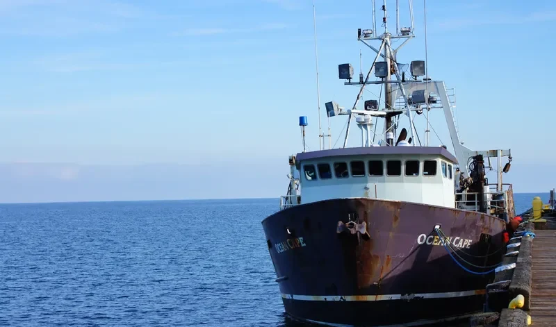 PACIFIC CAPES General Cargo IMO 7732573 photo 9