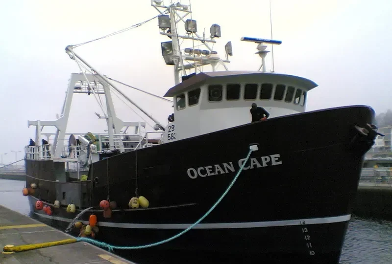 PACIFIC CAPES General Cargo IMO 7732573 photo 10