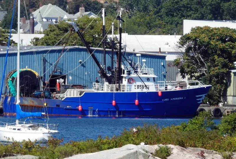 LUSO AMERICAN I Fishing Vessel IMO 7733046