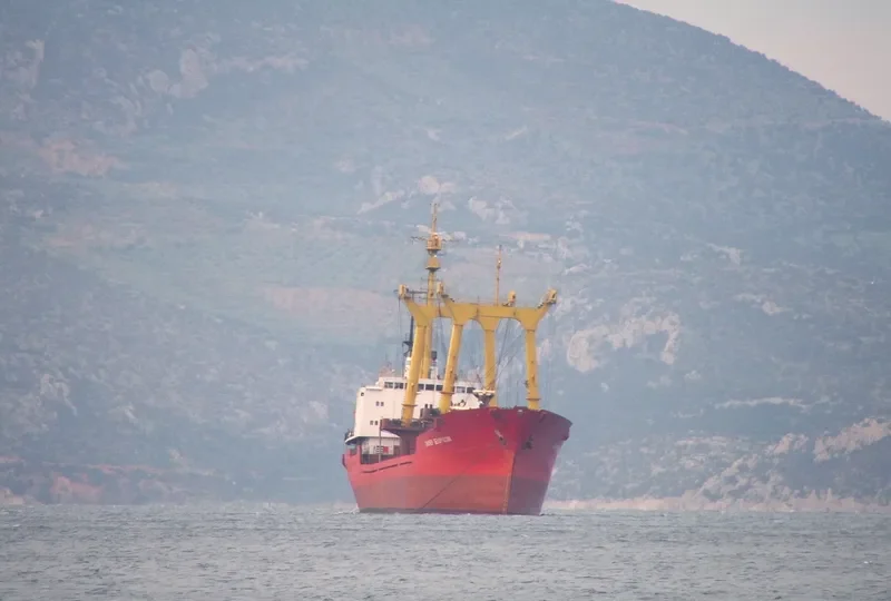 PIONER BELORUSSII General Cargo IMO 7733656 photo 5