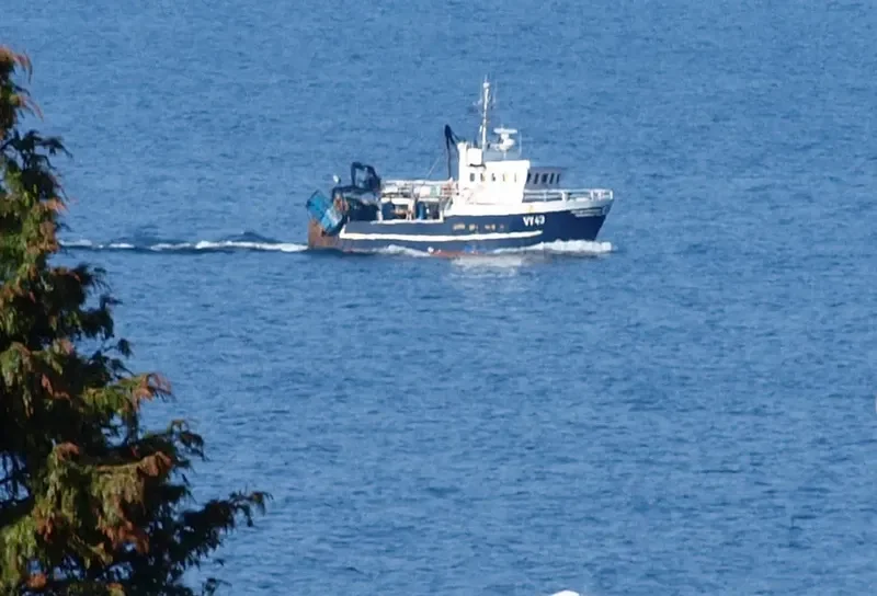 VIKEN General Cargo IMO 7734246 photo 2