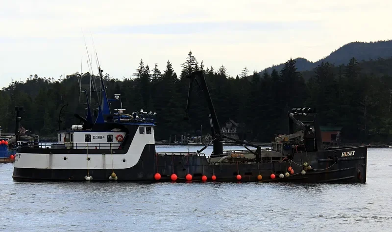 HUSKY General Cargo IMO 7734325 photo 2