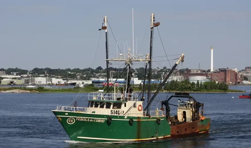 PEROLA DO CORVO General Cargo IMO 7734399