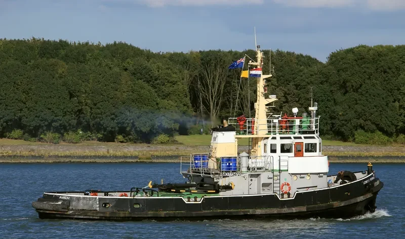 LEONTIY MARTINOVICH General Cargo IMO 7734727 photo 4