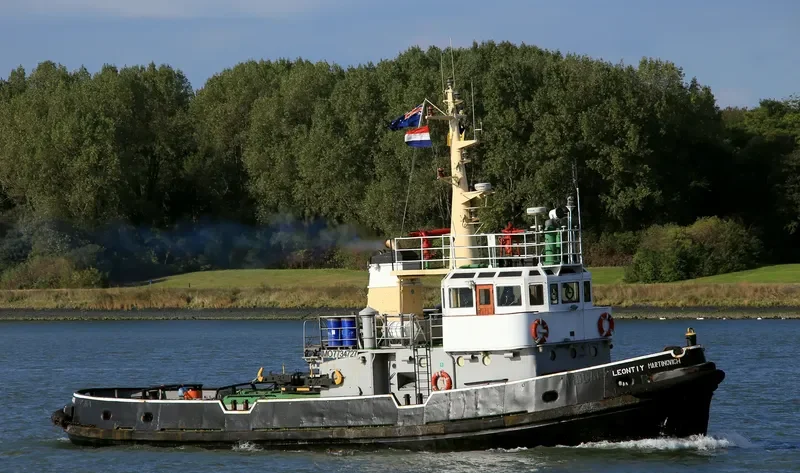 LEONTIY MARTINOVICH General Cargo IMO 7734727 photo 5