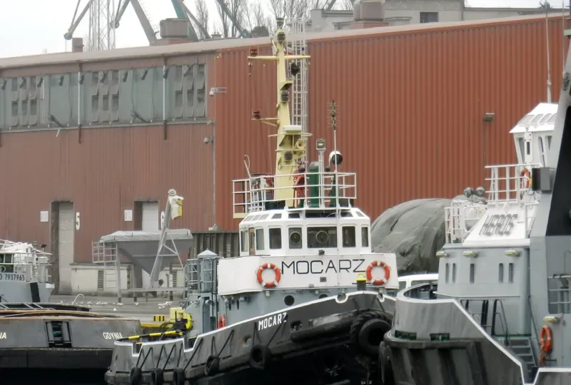 LEONTIY MARTINOVICH General Cargo IMO 7734727 photo 7